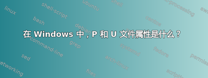 在 Windows 中，P 和 U 文件属性是什么？