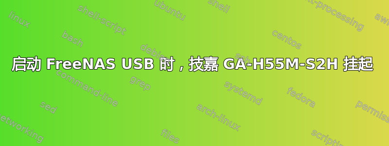 启动 FreeNAS USB 时，技嘉 GA-H55M-S2H 挂起