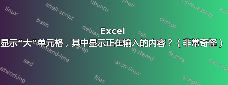 Excel 显示“大”单元格，其中显示正在输入的内容？（非常奇怪）