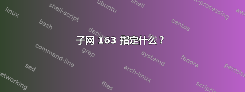 子网 163 指定什么？