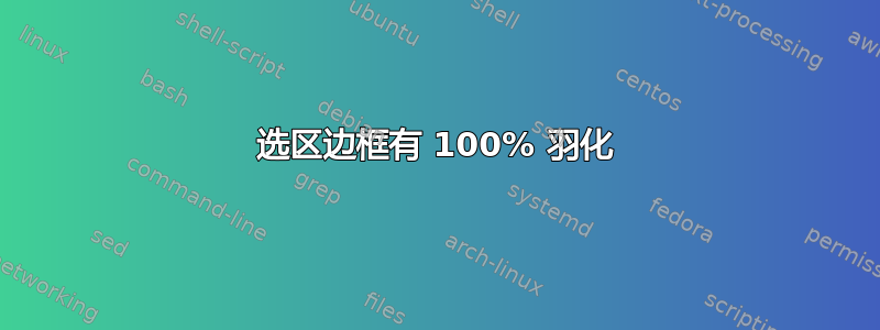 选区边框有 100% 羽化