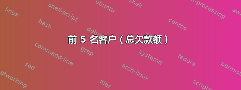 前 5 名客户（总欠款额）