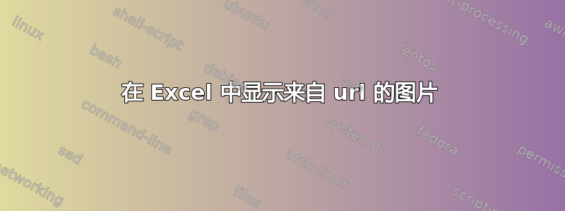 在 Excel 中显示来自 url 的图片