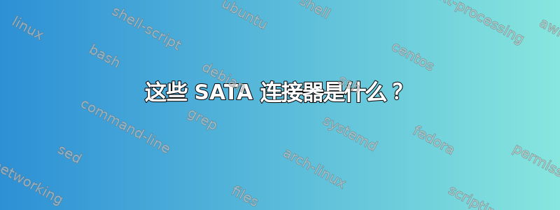 这些 SATA 连接器是什么？