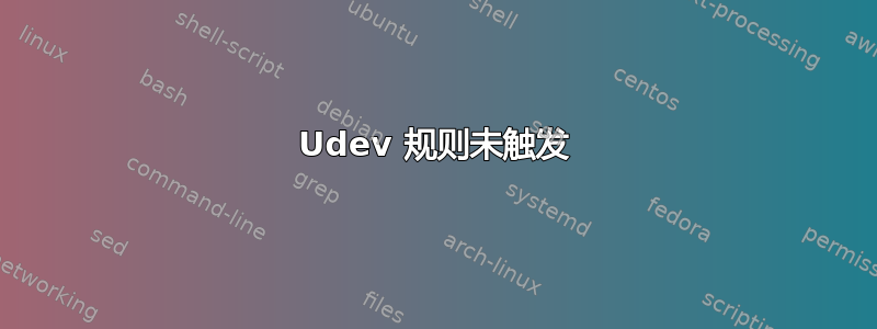 Udev 规则未触发