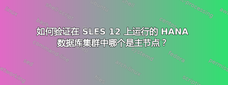 如何验证在 SLES 12 上运行的 HANA 数据库集群中哪个是主节点？