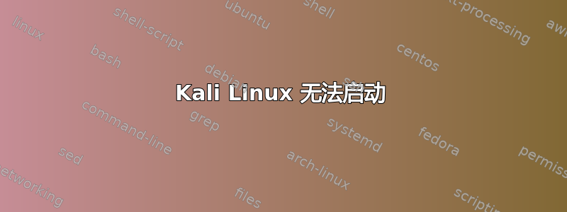 Kali Linux 无法启动