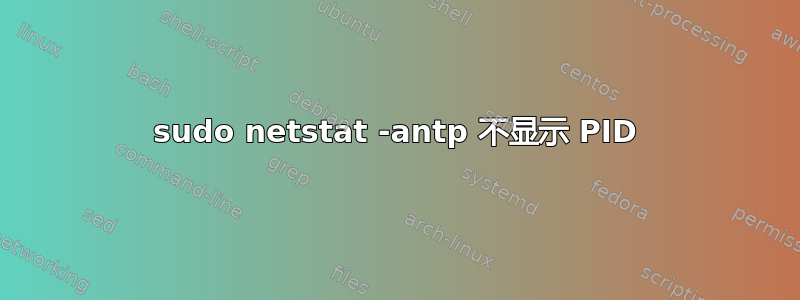 sudo netstat -antp 不显示 PID