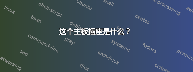 这个主板插座是什么？