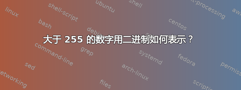 大于 255 的数字用二进制如何表示？