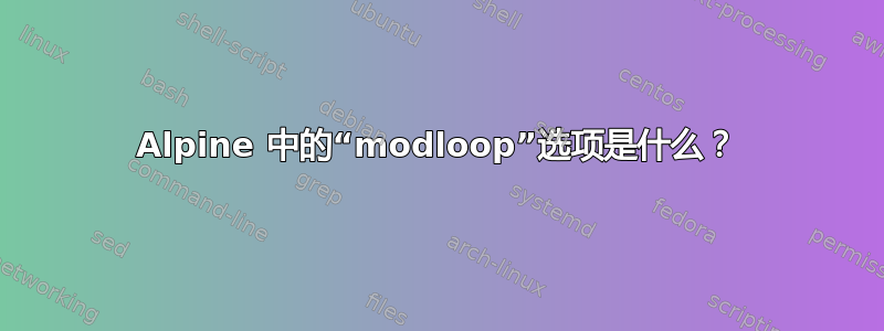 Alpine 中的“modloop”选项是什么？