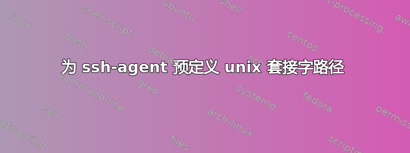 为 ssh-agent 预定义 unix 套接字路径