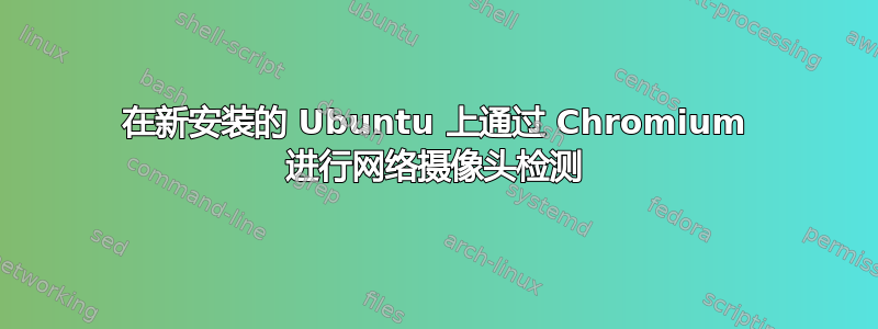 在新安装的 Ubuntu 上通过 Chromium 进行网络摄像头检测