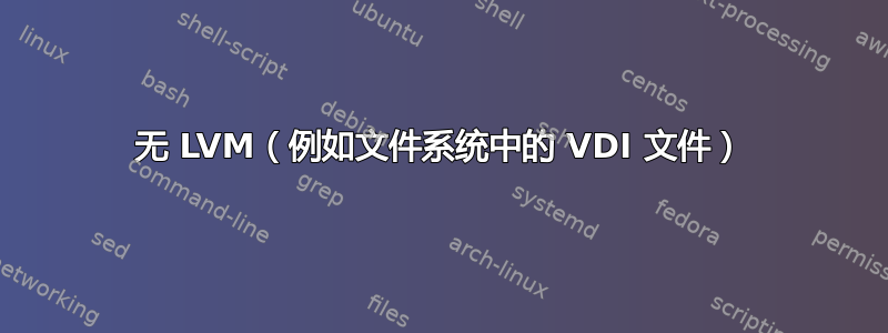 无 LVM（例如文件系统中的 VDI 文件）