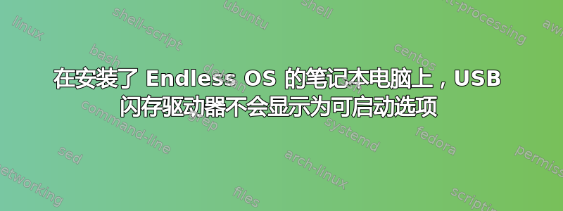 在安装了 Endless OS 的笔记本电脑上，USB 闪存驱动器不会显示为可启动选项