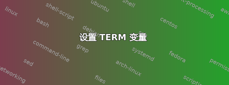 设置 TERM 变量