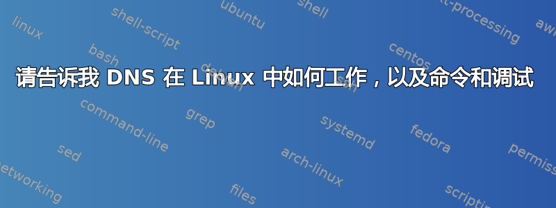 请告诉我 DNS 在 Linux 中如何工作，以及命令和调试 