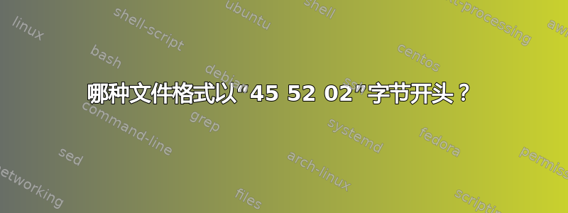 哪种文件格式以“45 52 02”字节开头？