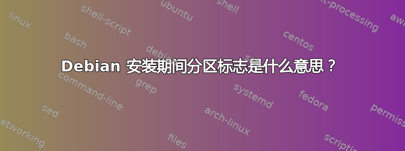 Debian 安装期间分区标志是什么意思？