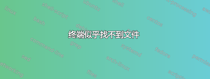 终端似乎找不到文件