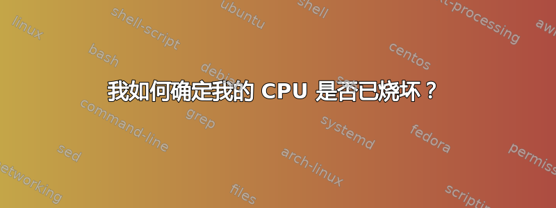 我如何确定我的 CPU 是否已烧坏？