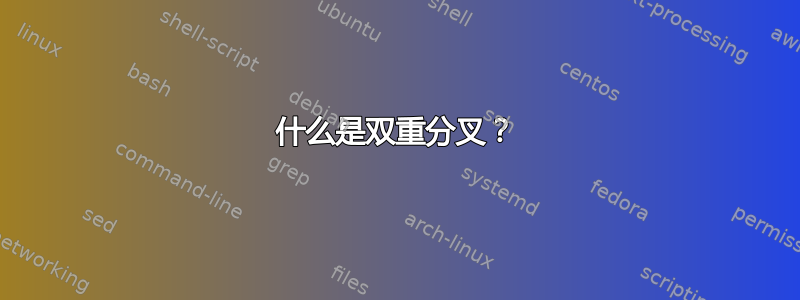 什么是双重分叉？