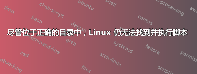 尽管位于正确的目录中，Linux 仍无法找到并执行脚本