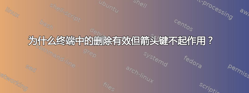 为什么终端中的删除有效但箭头键不起作用？ 