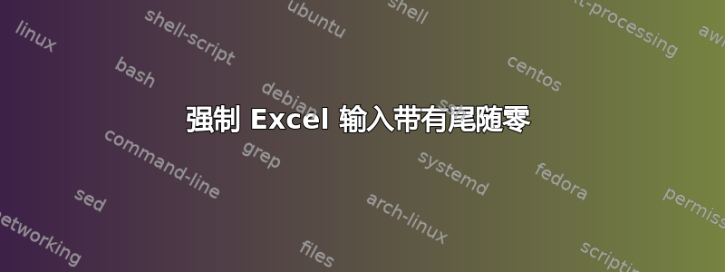 强制 Excel 输入带有尾随零