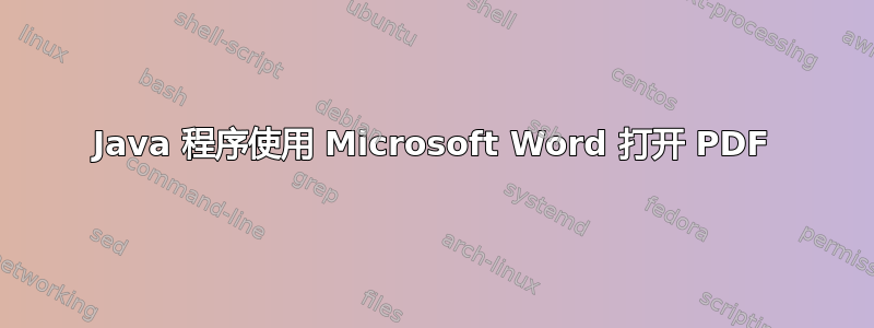 Java 程序使用 Microsoft Word 打开 PDF