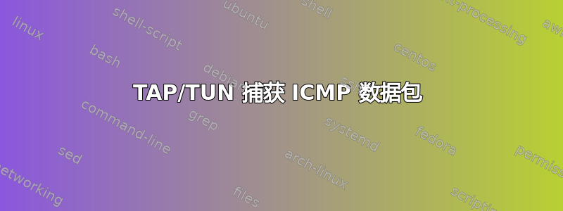 TAP/TUN 捕获 ICMP 数据包