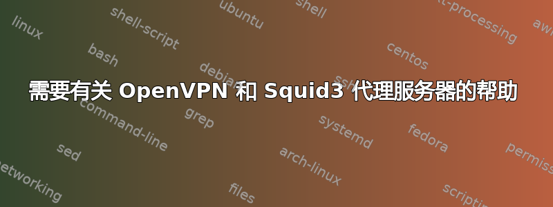 需要有关 OpenVPN 和 Squid3 代理服务器的帮助