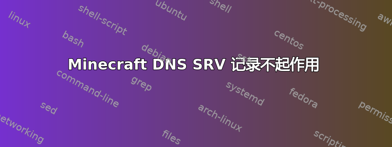 Minecraft DNS SRV 记录不起作用