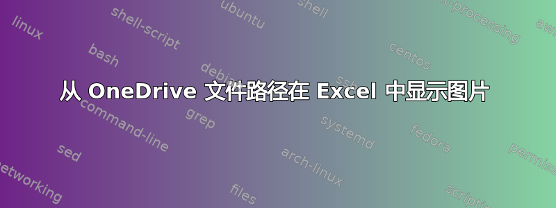 从 OneDrive 文件路径在 Excel 中显示图片