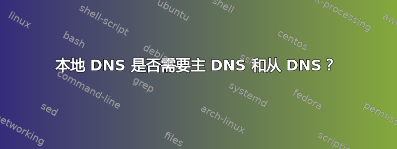 本地 DNS 是否需要主 DNS 和从 DNS？