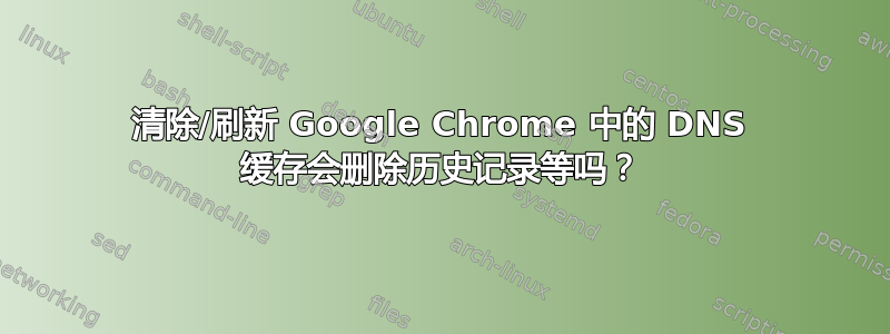 清除/刷新 Google Chrome 中的 DNS 缓存会删除历史记录等吗？