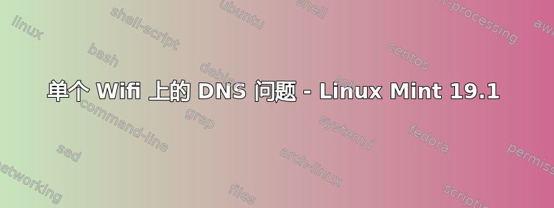 单个 Wifi 上的 DNS 问题 - Linux Mint 19.1