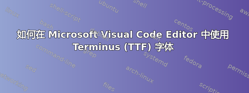 如何在 Microsoft Visual Code Editor 中使用 Terminus (TTF) 字体