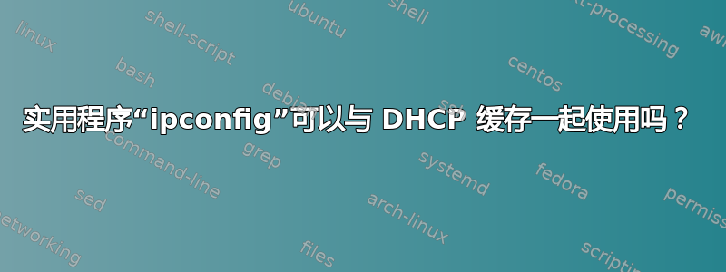 实用程序“ipconfig”可以与 DHCP 缓存一起使用吗？