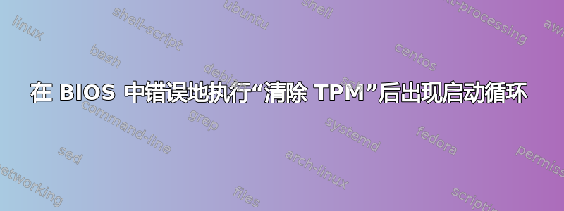 在 BIOS 中错误地执行“清除 TPM”后出现启动循环