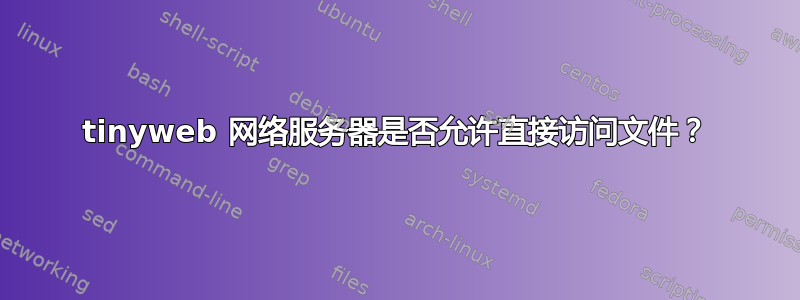 tinyweb 网络服务器是否允许直接访问文件？