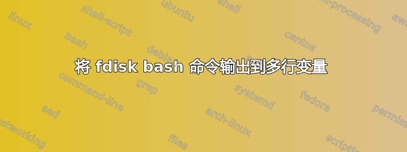 将 fdisk bash 命令输出到多行变量