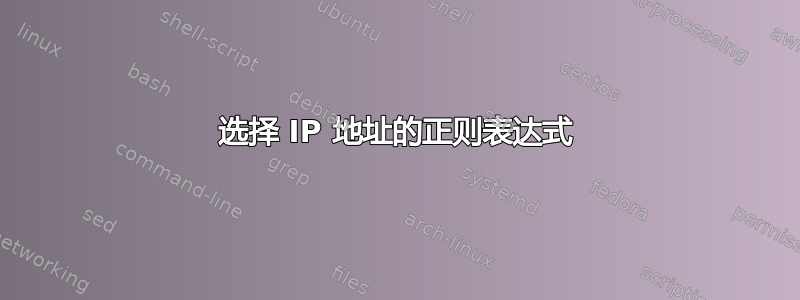 选择 IP 地址的正则表达式