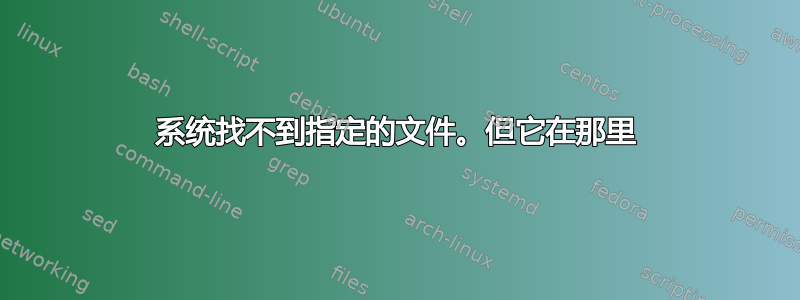 系统找不到指定的文件。但它在那里