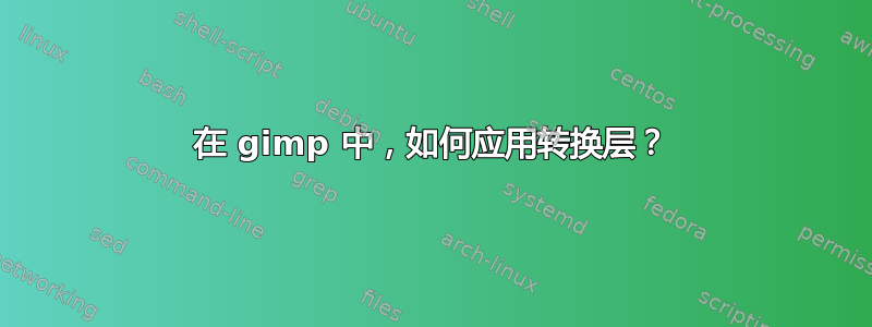 在 gimp 中，如何应用转换层？