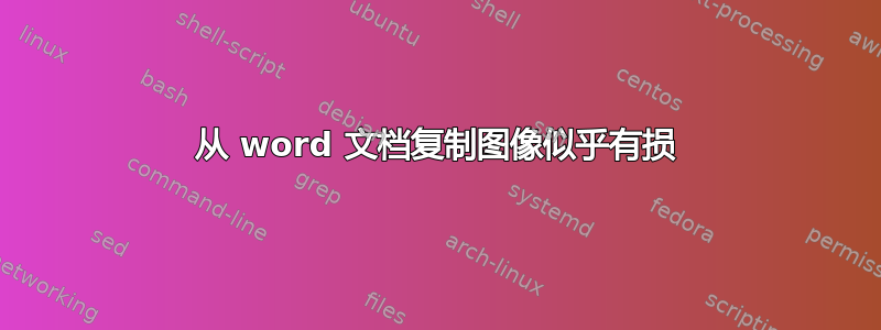 从 word 文档复制图像似乎有损