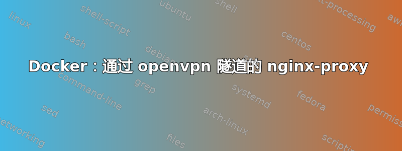 Docker：通过 openvpn 隧道的 nginx-proxy