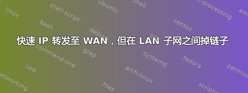 快速 IP 转发至 WAN，但在 LAN 子网之间掉链子