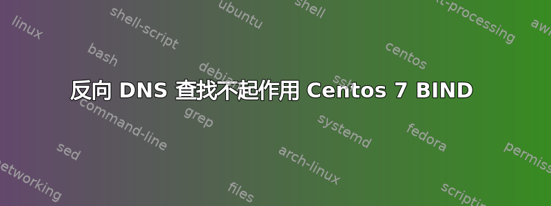 反向 DNS 查找不起作用 Centos 7 BIND