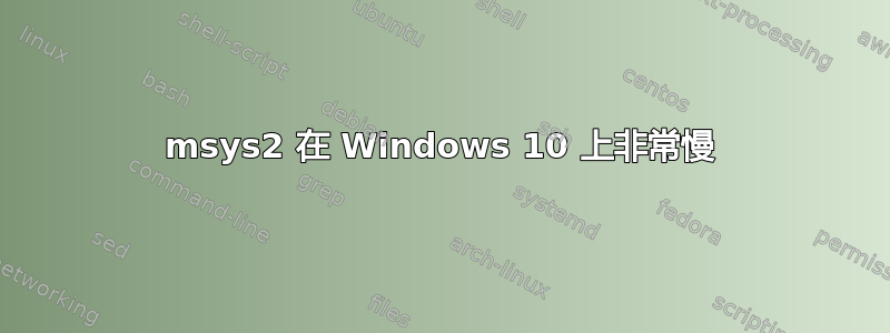 msys2 在 Windows 10 上非常慢
